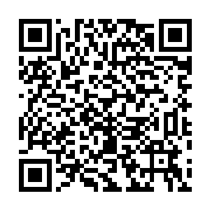 这时候他也顾不上骂日本队羞辱中国……要真是被进了球二维码生成