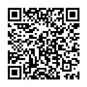 这时候他们的心脏想必早已噗通噗通快要跳出来了吧二维码生成