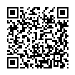 这时候他做过装修设计师和建筑师的优势就体现出来二维码生成