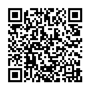 这时候他的怀中那两块弥古玉忽然放出一道玉光二维码生成