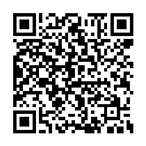 这时候估计叫古丽莎去跳刀山火海都没什么意见二维码生成