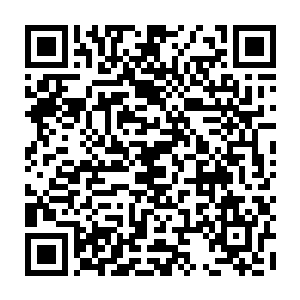 这时候全世界的玩家才发现这个排名个人战力榜第一的玩家实力还真不是盖的二维码生成