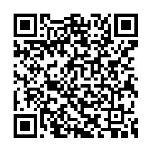 这时候又将刚刚喝过了那溪水的人都叫到了一起二维码生成