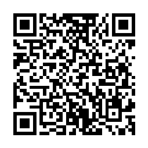 这时候唯一有效的法子就是果断反击打掉贼人的贼胆才是道理二维码生成