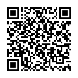 这时候多少也已经感受到了这边整个对峙的局势二维码生成