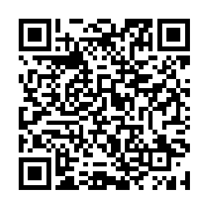 这时候大部分精锐边军都做不出配合严密的叠射战术二维码生成