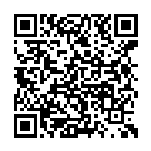 这时候已经好整以暇地坐在了竺学林的办公室里二维码生成