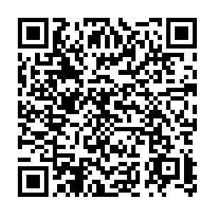 这时候希腊人就会去单位门口的小酒吧里喝上一杯白乎乎的自酿茴香酒二维码生成