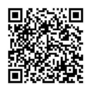 这时候忽然传出绿洲部落遭到飞星修真者袭击的消息二维码生成