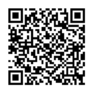 这时候所有的人也都从刚才的震惊中反映了过来二维码生成