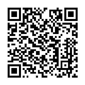 这时候才意识到我从拉起白奇雪从家里出来到现在二维码生成