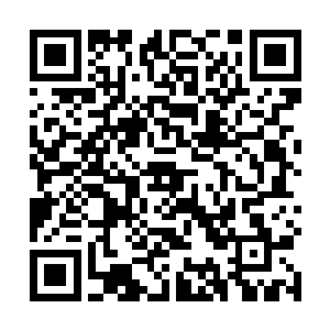 这时候播报成绩的大屏幕终于显示出了最终的比赛结果二维码生成