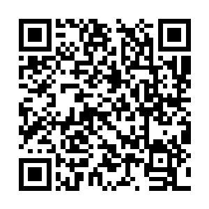 这时候杨戬的脸上也露出了一抹淡淡的笑容开口道二维码生成