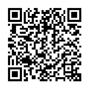 这时候林封谨才忽然有些明白为什么金色白罴要闻风而逃的根源二维码生成