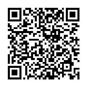 这时候白玉广场的人也都是目光闪烁的看向了那石灵海二维码生成