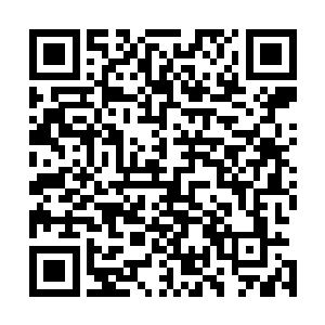 这时候的大地已经被雨水和泥浆分割成了纵横交错的棋盘状二维码生成