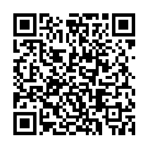 这时候的粉丝们却展现出了比保安更加迅捷的反应力二维码生成