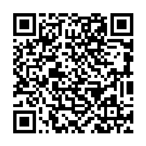 这时候苏落却毫不犹豫拿着匕首朝自己手腕切割而去二维码生成