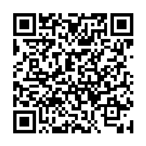 这时候跌坐在地上的法界宗太上掌门也是冷冷说话了二维码生成