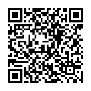 这时候跟在李政身边的两位男子却是一人拿着一个袋子二维码生成