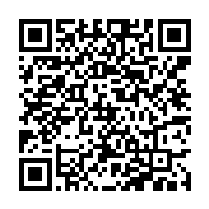 这时候这几位飞升修士就应该明哲保身地站在一旁二维码生成