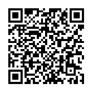 这时候青蛟兽已经是圣兽中期顶峰马上就要达到圣兽后期了二维码生成