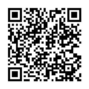 这时刚好有一个红发朝天的小孩在大殿之外跑过二维码生成