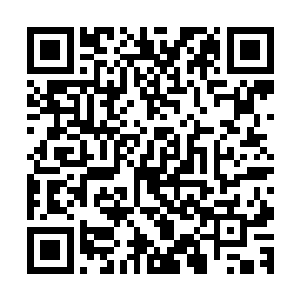 这时千夜发现蛛魔身上纵横交错的纹路中有许多是旧伤的痕迹二维码生成