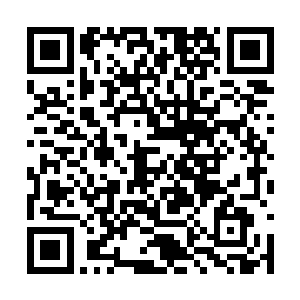 这时叶秋注意到了叶伯身旁有着一位他不认识的人二维码生成