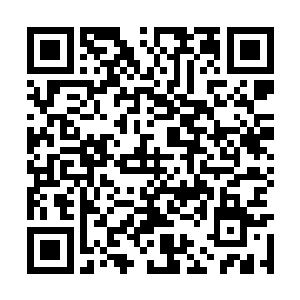 这时叶青就留意到城下外围设一道丈二青黑色矮墙二维码生成