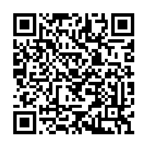 这时在远处看着这一切的施洛携着儿子滑了过来二维码生成