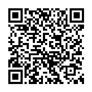 这时山中的门生亲兵自然也早已经看到了夏云杰二维码生成