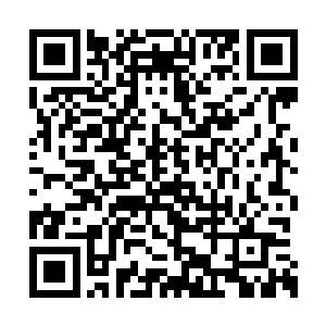 这时戴恩恩和宋唯两个丫头在石头后面走了出来二维码生成