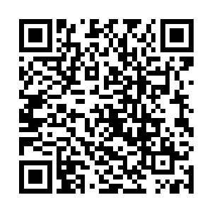 这时木萦就把有关闫童与闫湘的事告知了楚临逆世惊雷二维码生成