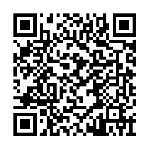 这时正有个衣着十分精致的少年从车里走了下来二维码生成