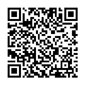 这时洼地村人还没有被严默忽悠到变成脑残粉的程度二维码生成