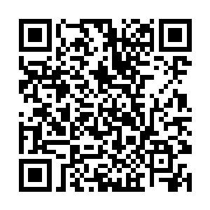 这时百里看到了迎面而来的龙王瞬间将身子侧了一处二维码生成