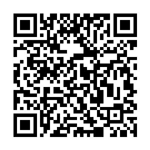 这时的严默就像所有炫耀自家宝贝儿子的傻爸爸一样二维码生成