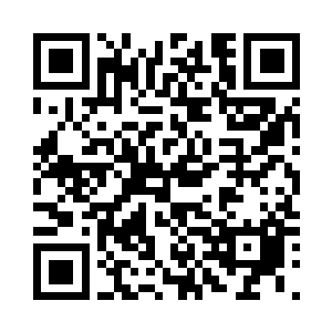 这时观众席上陆续又多了小猫三两只二维码生成