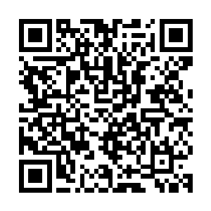 这时觉哥终于意识到了……这个支线任务远没有看上去那么简单二维码生成