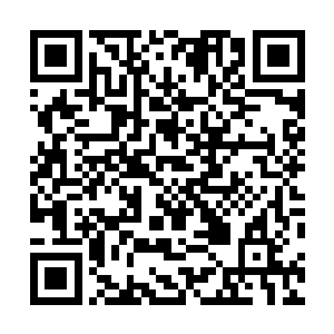 这时边上一个看起来有些木讷的小孩子指着那个孩子说道二维码生成