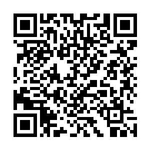 这时远处江海生端着狙击枪还有手拿短刀的霍建华也出现了二维码生成