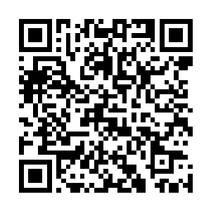 这时间魔方以四千万神武丹的高价被那黑衣都已男子拿下了二维码生成