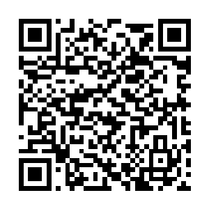 这是……难道这是造化图空间之中自己演化的天劫二维码生成