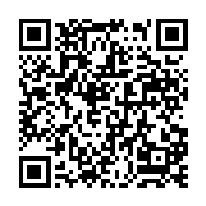 这是一个在丛林地形内可以发挥出超强战力的队伍二维码生成