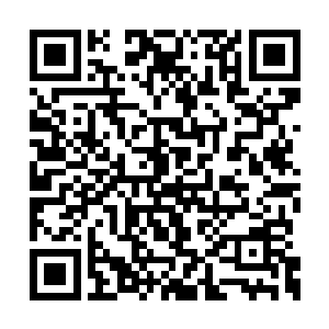 这是一个将大理寺卿的位子收入囊中的极好契机二维码生成