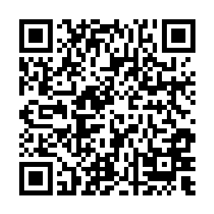 这是一个改变了修界改变了整个修炼者势力划分的日子二维码生成