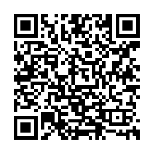 这是一个非常微妙的数字――在整个费南大陆上二维码生成