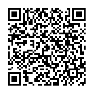 这是一只实力比吞火巨蜥还要强横的高阶变异生物……不仅仅是智慧超出一筹二维码生成