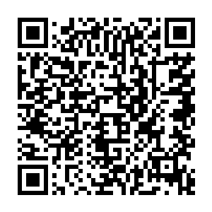 这是一张十分细腻柔软的脸　但是在这张脸下　却是一个比谁都坚韧的灵魂二维码生成